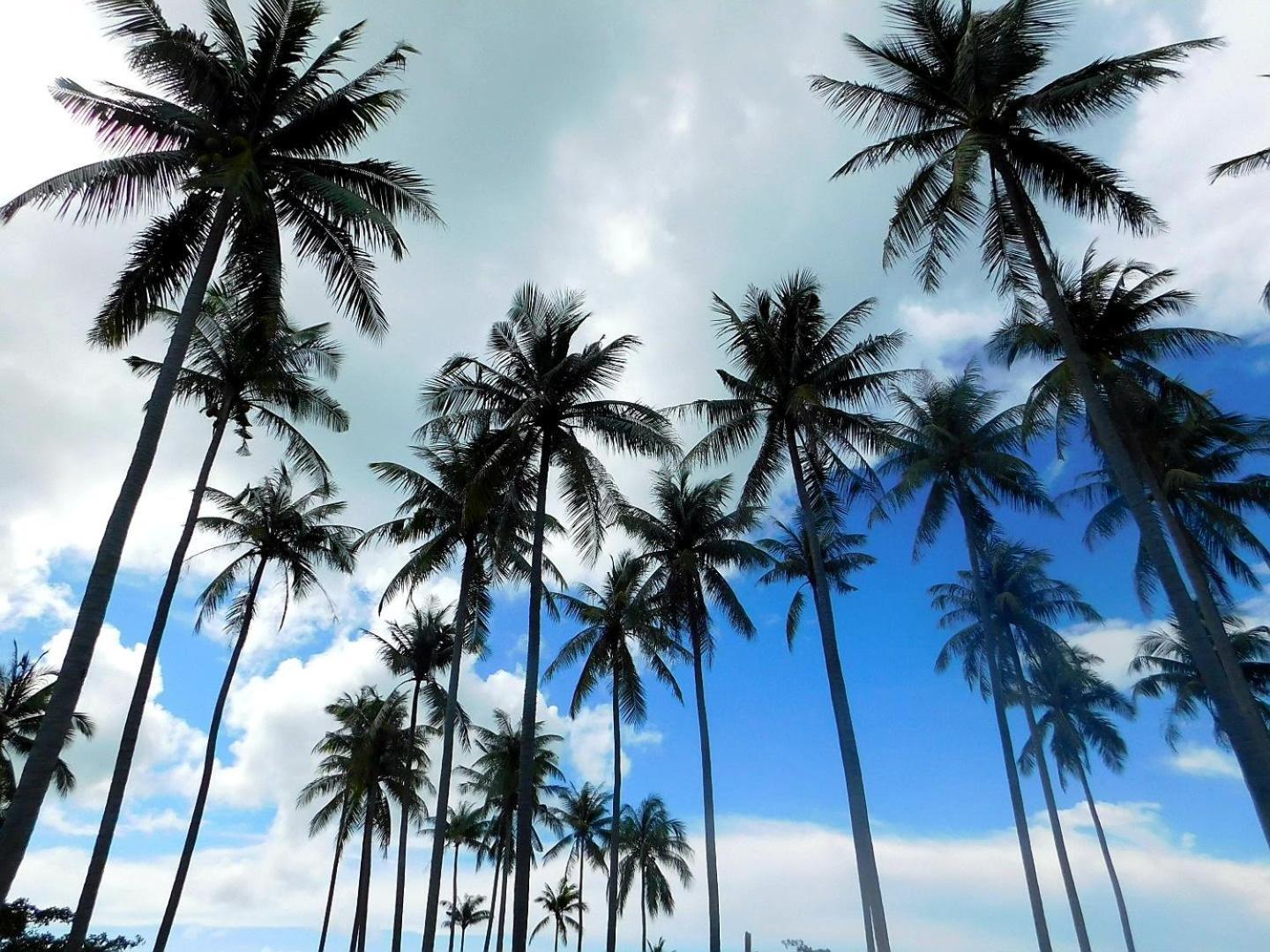 فندق Swiss Bonihouse Koh Yao Yai Ban Pru Nai المظهر الخارجي الصورة