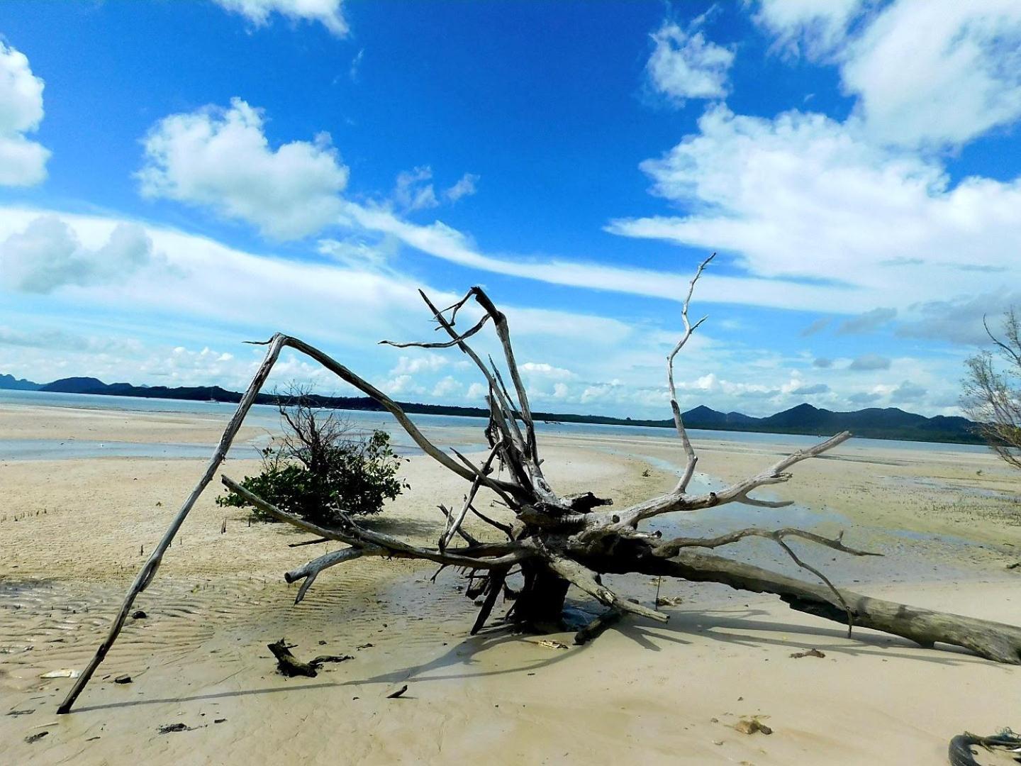 فندق Swiss Bonihouse Koh Yao Yai Ban Pru Nai المظهر الخارجي الصورة