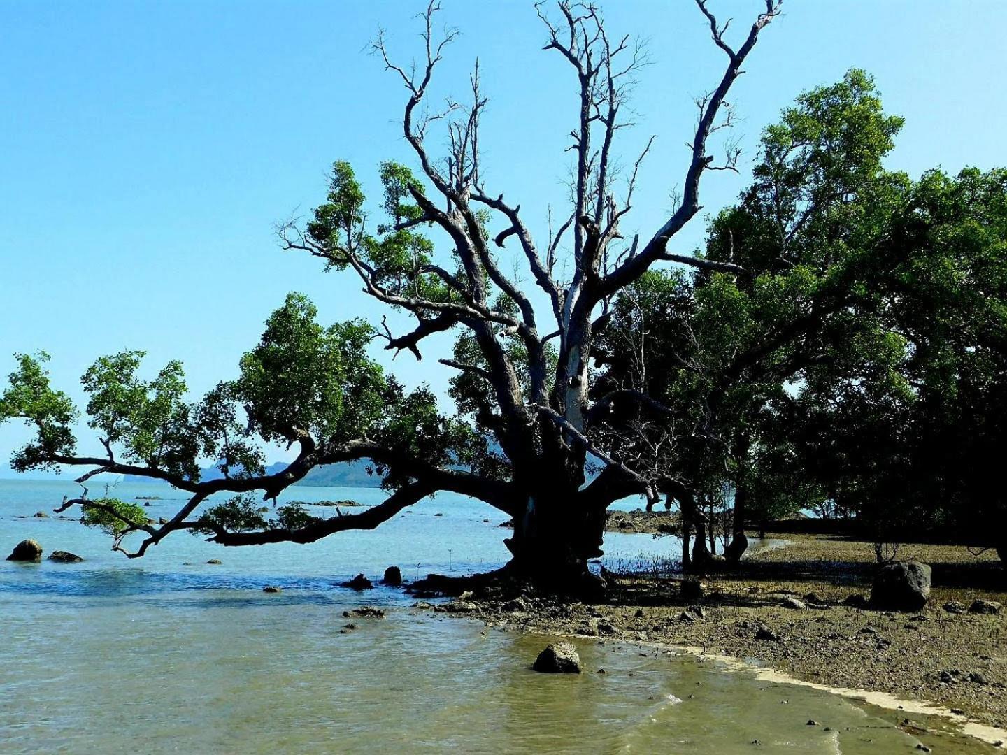 فندق Swiss Bonihouse Koh Yao Yai Ban Pru Nai المظهر الخارجي الصورة