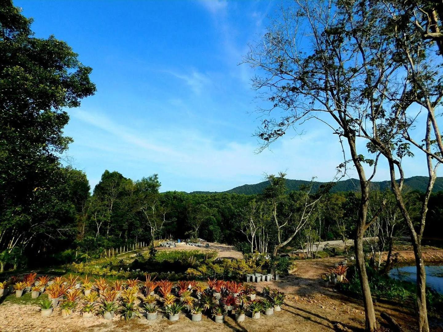 فندق Swiss Bonihouse Koh Yao Yai Ban Pru Nai المظهر الخارجي الصورة
