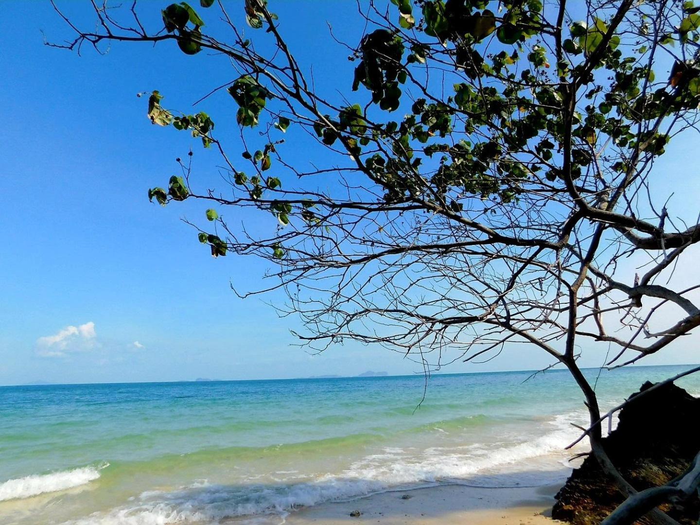 فندق Swiss Bonihouse Koh Yao Yai Ban Pru Nai المظهر الخارجي الصورة