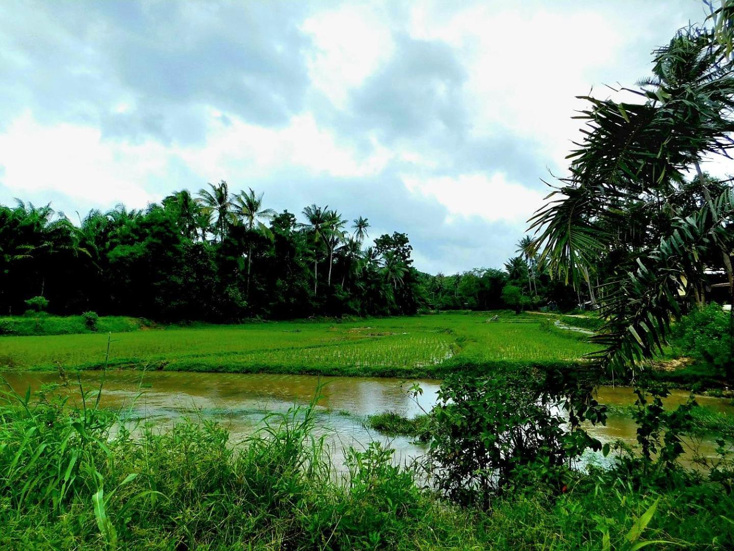 فندق Swiss Bonihouse Koh Yao Yai Ban Pru Nai المظهر الخارجي الصورة